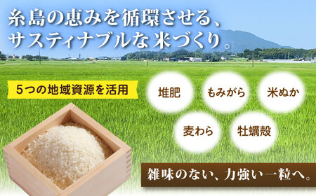 【令和7年産】【スピード発送】にこまる  白米 5kg(5キロ)  糸島市 / 糸島の恵み[AGR001] お米