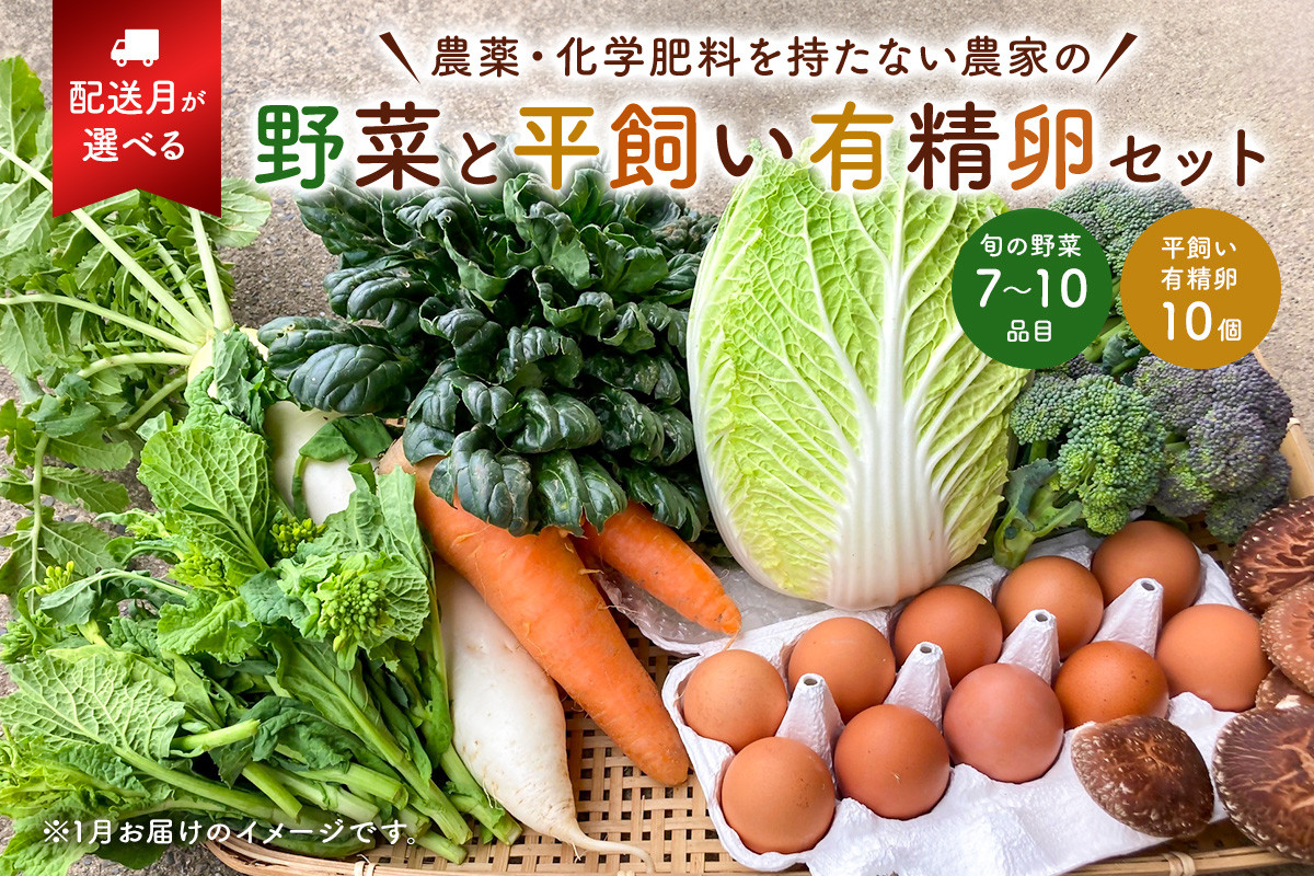 
            【配送月が選べる】農薬・化学肥料を持たない農家の野菜（7～10種類）と 平飼有精卵のセット mi0036-0017 【野菜 卵 露地栽培 国産 旬野菜 季節野菜 キャベツ きゅうり トマト 果物 蒟蒻 味噌】
          