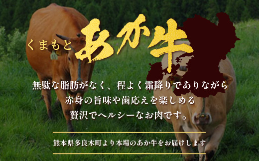 くまもとあか牛すき焼き・しゃぶしゃぶセット  計1kg  すき焼き しゃぶしゃぶ あか牛 牛肉 肩ロース ヘルシー 贅沢 ミネラル  熊本県 ブランド牛 肉 ヘルシー 赤身 牛肉 105-0511