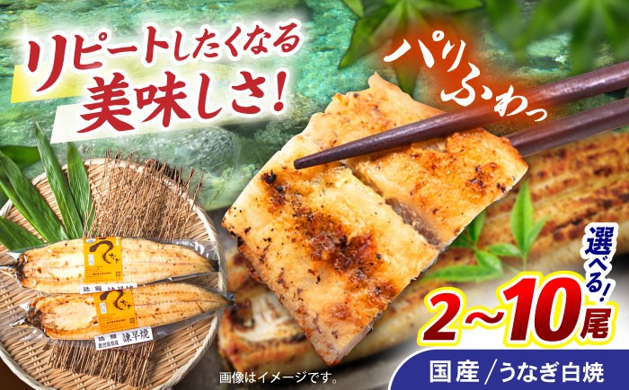 
                  【お中元対応可】＜選べる容量＞諫早淡水 うなぎ白焼き 2～10尾 / うなぎ ウナギ 鰻 白焼き 白焼 国産 冷凍 小分け unagi / 諫早市 / 諫早淡水株式会社 [AHAT011] 
                