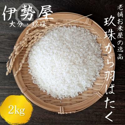 ふるさと納税 玖珠町 【10月下旬頃より順次発送】令和7年産 玖珠から羽ばたく 精白米 2kg入