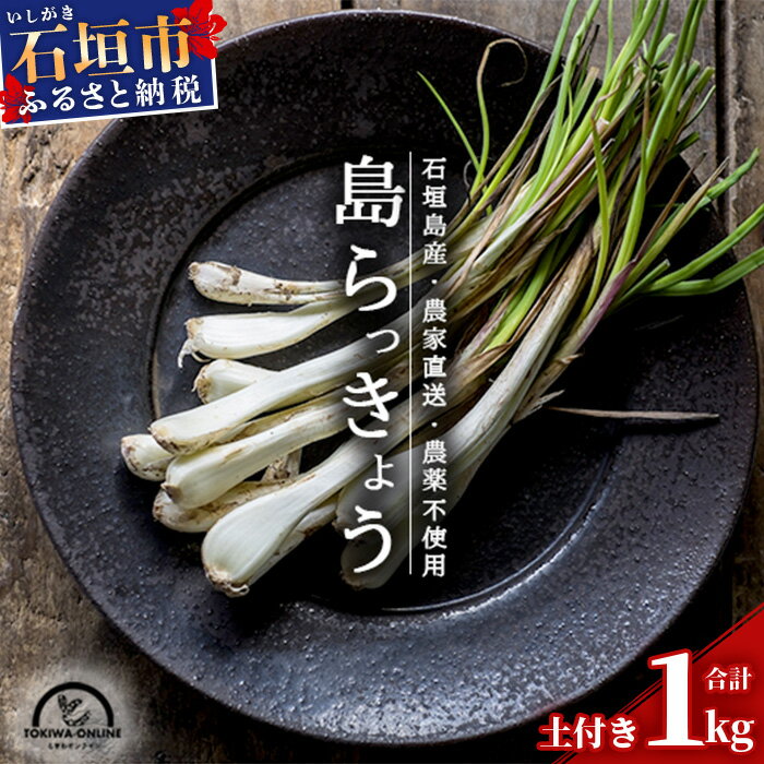 【ふるさと納税】【先行受付】島らっきょう 生 土付き 1kg 《2026年2月～3月発送予定》| 沖縄 石垣島 農家直送 ふるさと納税 野菜 らっきょう 島らっきょう おつまみ 採れたて 漬物 天ぷら 送料無料 TK-7