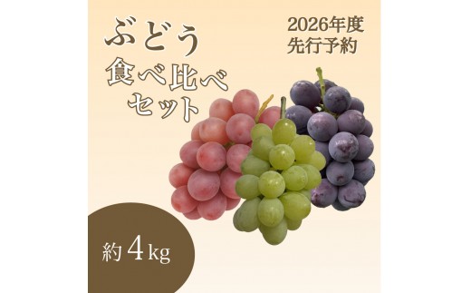 
                  【ご家庭用】ぶどう食べ比べセット 約4kg
                