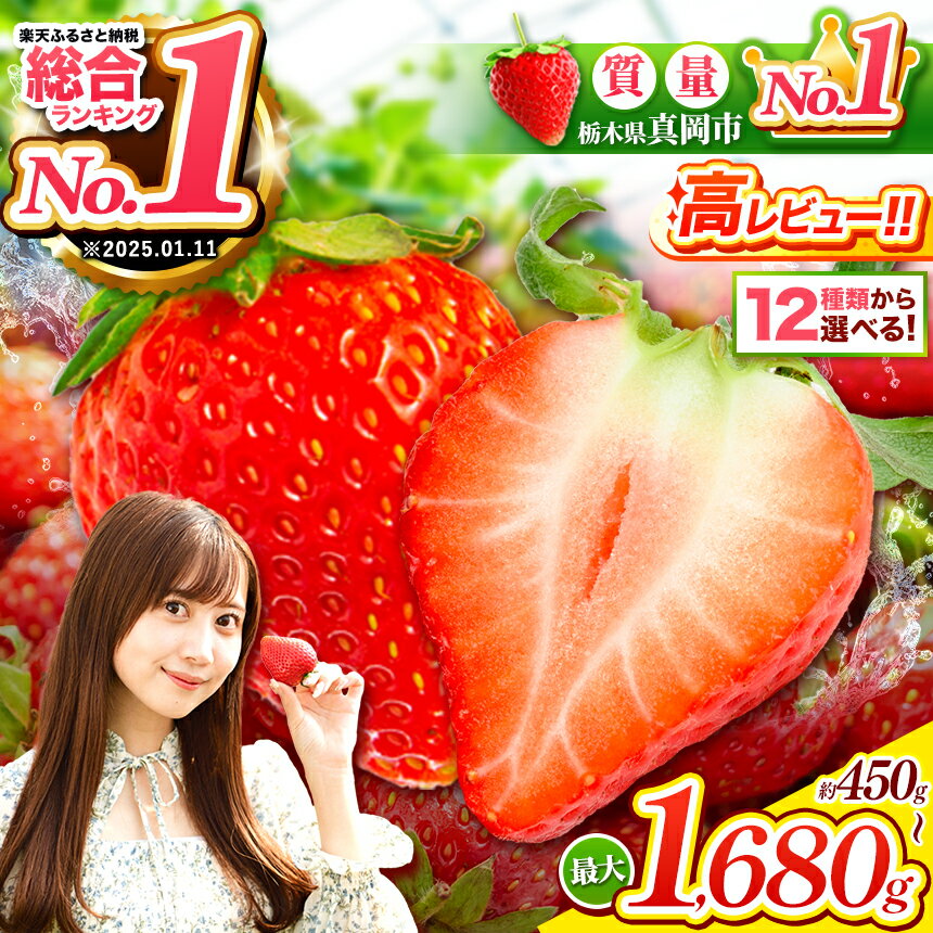 楽天限定 朝摘みいちご 旬の品種 1200g
