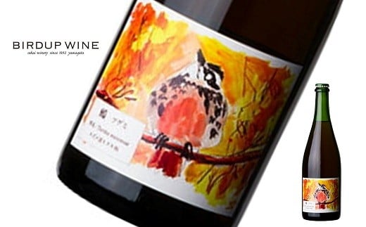 
            酒井ワイナリー 「鶫(つぐみ) 2022」 750ml 『(有)酒井ワイナリー』 ロゼワイン 発泡性 辛口 ライトボディ 山形県 南陽市 [2506]
          