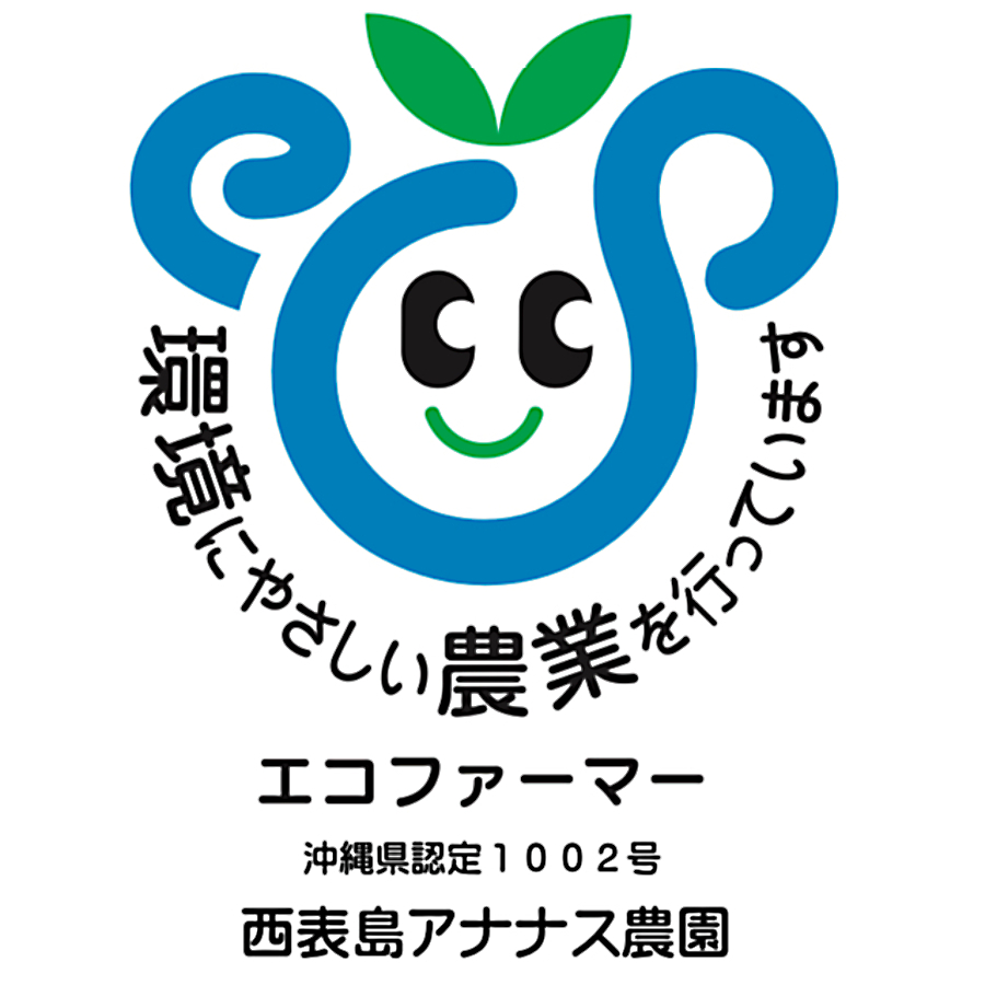 栽培期間農薬不使用栽培！アナナスピーチパイン３ｋｇ（３～６個）