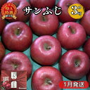 【ふるさと納税】化粧箱入りサンふじ約3kg 贈答用【特A】（1月発送）青森県産　 果物 りんご 青森りんご サンふじ 旬のフルーツ 産地直送 贈答用 　お届け：2025年1月10日～2025年1月30日