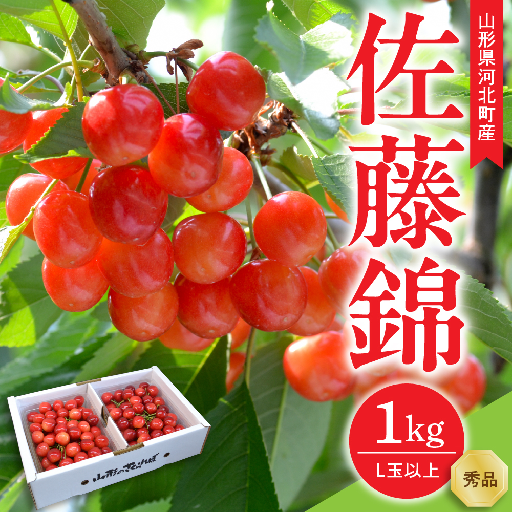 【令和9年産】さくらんぼ 佐藤錦 1kg(500g×2パック) L玉以上 ギフト箱入 秀品 山形県産【山形eLab】フルーツ 人気 贈答 ふるさと納税 河北町 2027年産 ka074-053 1kg