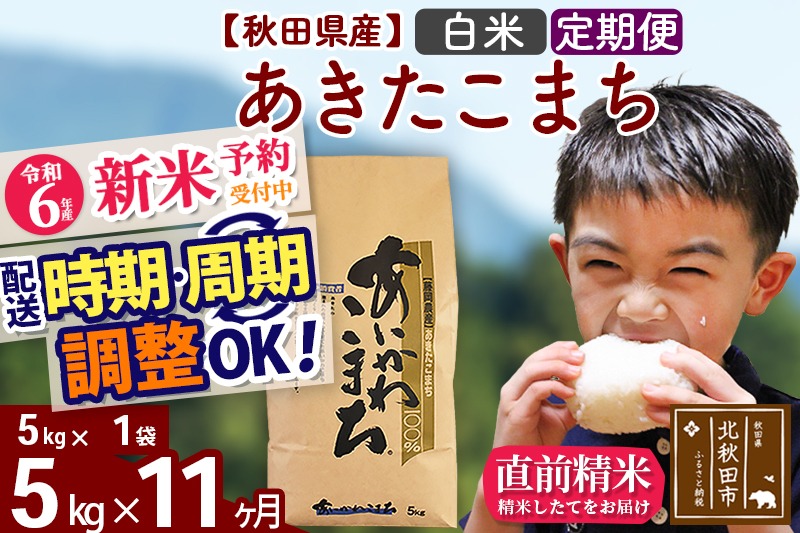 ※令和6年産 新米予約※《定期便11ヶ月》秋田県産 あきたこまち 5kg【白米】(5kg小分け袋) 2024年産 お届け時期選べる お届け周期調整可能 隔月に調整OK お米 藤岡農産|foap-10311