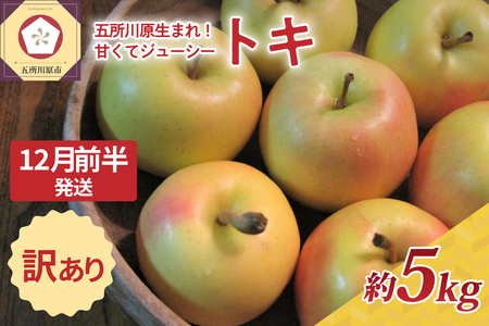 【2025年12月前半発送】りんご【訳あり】約5kg トキ | 黄色いりんご 青森県産りんご 家庭用りんご