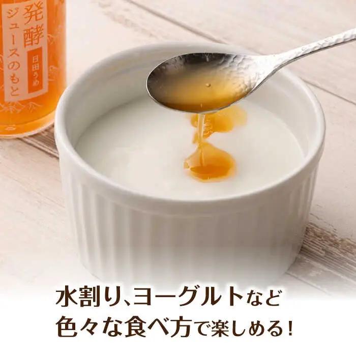 【お中元対象】発酵ジュースのもと〈日田うめ〉 110ml×5本 ジュース うめ ウメ 梅 果実飲料 [ARDA004]