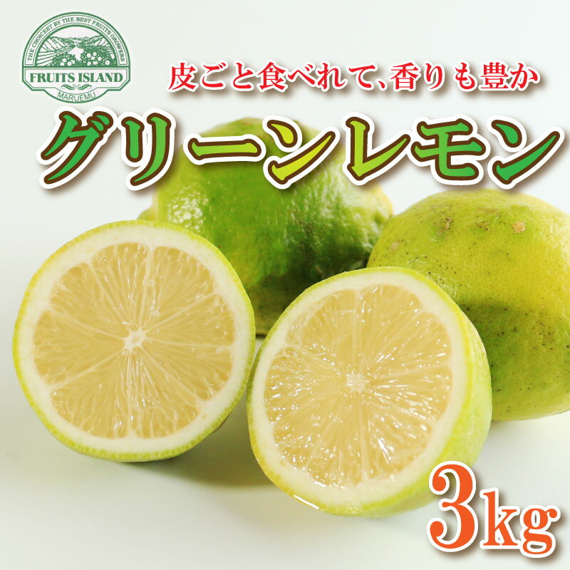 【ふるさと納税】 【先行予約】10月上旬～発送予定 レモン 約 3kg 24個 10000円 檸檬 フルーツ 果物 くだもの 柑橘 国産 新鮮 減農薬 ノンワックス 防腐剤 不使用 ビタミンC 美容 美肌 健康 皮ごと みかん 蜜柑 さっぱり 料理 産地 直送 愛媛県 愛南町