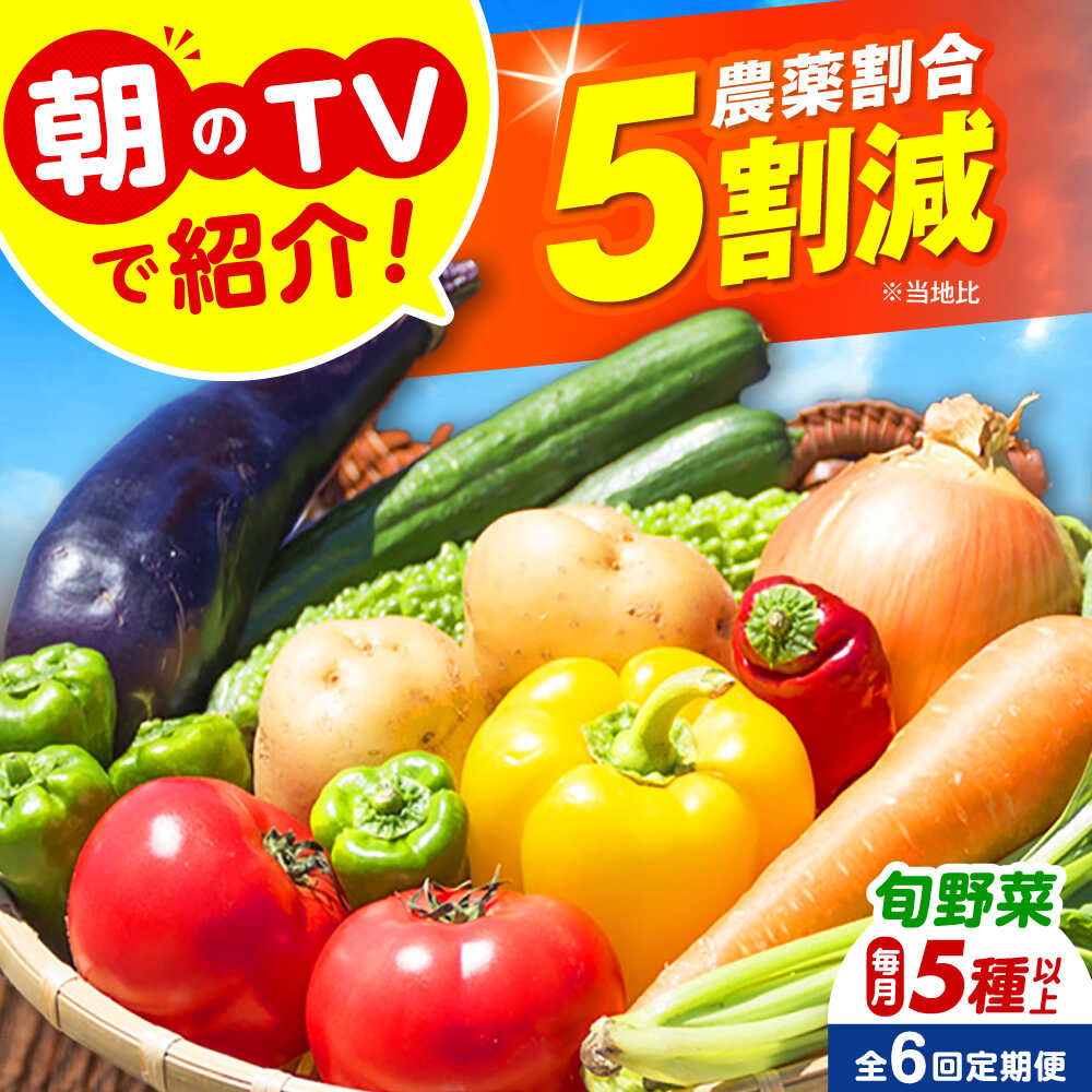 【ふるさと納税】【全6回定期便】 米ぬかで育てた！旬のお野菜セット 詰合せ 詰め合わせ 新鮮 産地直送 おまかせ やさい 野菜セット 野菜 旬野菜 旬 人気 お取り寄せ 野菜詰め合わせ 野菜セット ご当地 自家製 直送 農家 定期便 大阪府高槻市/ベジ彩ファーム[AOEJ006]