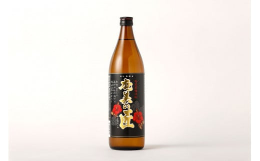 徳之島 黒糖焼酎 奄美の匠 900ml 25度  瓶 焼酎