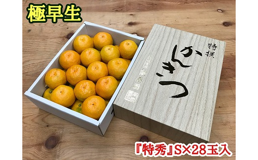 
極早生 みかん 有田 化粧箱 小箱 特秀 S サイズ 28玉入 南泰園
