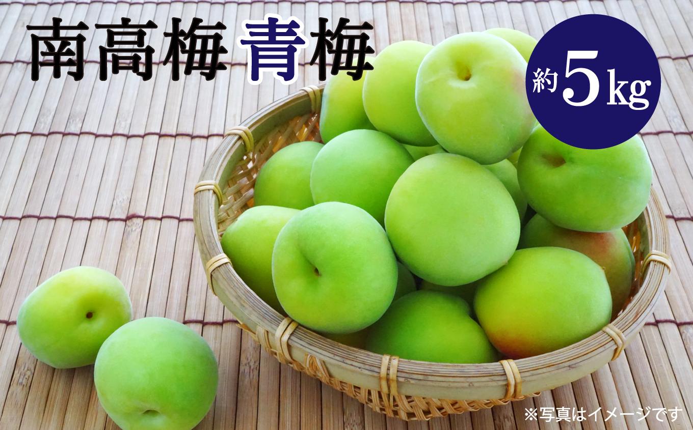 
            【先行予約】 南高梅 （青梅）約5㎏　2025年6月上旬～6月中旬頃発送　梅 うめ 南高梅 伊予南高梅 佐伯食品 青梅
          