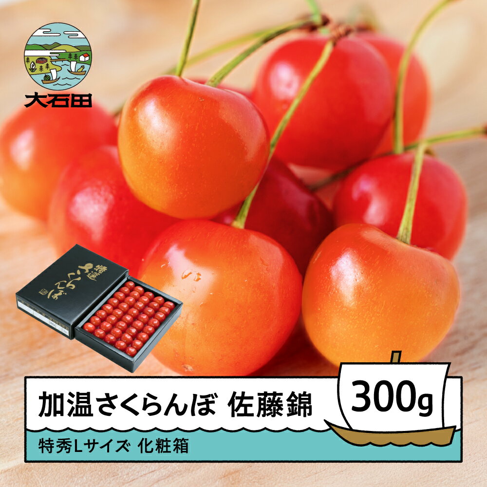 【ふるさと納税】先行予約 加温さくらんぼ 佐藤錦 特秀Lサイズ プレゼント ギフト 化粧箱鏡詰め 300g 2026年産 山形県産 送料無料 サクランボ ns-sntlx300