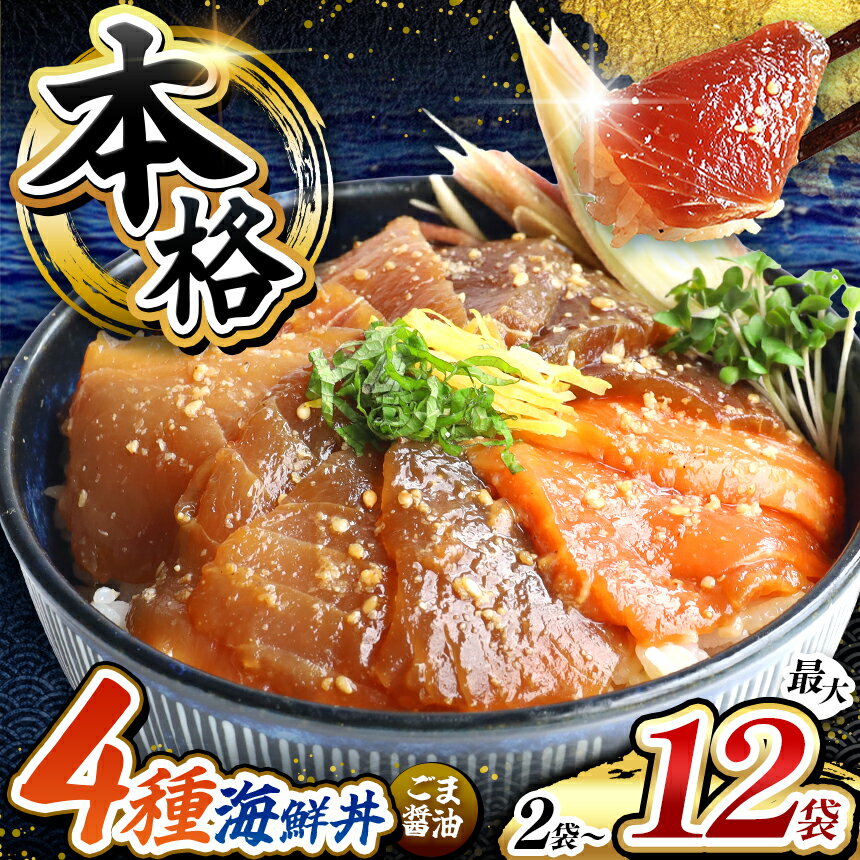 【ふるさと納税】 本格！ごま醤油 海鮮丼 まぐろ サーモン ブリ カツオ 選べる 種類 内容量 | 熊本県 和水町 くまもと なごみ 魚 海鮮 肥後 海鮮丼 スライス 冷凍 漬け さかな 漬け丼 小分け 数量限定 人気 熊本県 人気 海産物 水産加工 鮪