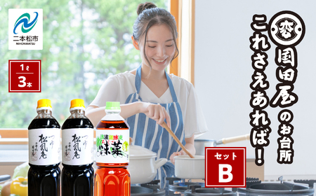 めんつゆ これさえあればセットB【国田屋醸造】