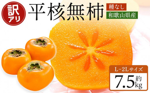 和歌山県産 訳あり 柿 平核無柿 7.5kg L ~ 2L サイズ たねなし柿 種無し柿 ご家庭用 選果場 直送 先行予約 かき フルーツ かき 規格外 わけあり 不揃い ふぞろい ご自宅用 果物 くだもの フルーツ［2026年10月上旬～発送］