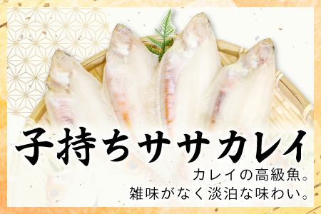 ノドグロ・笹カレイセット【のどぐろ一夜干し かれい一夜干し 干物セット のどぐろ干物 2尾 1尾あたり120～140g 笹カレイ干物 4尾 1尾あたり50～60g 島根県産 大田市産 ノドグロ 笹カレ