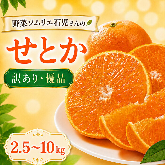 【ふるさと納税】 【先行予約2027発送】【訳あり品】せとか 2.5kg〜10kg 野菜ソムリエ石児さん ／ ミカン せとか柑橘 2.5kg 5kg 10kg 柑橘類 期間限定 数量限定 フルーツ 果物 先行予約 2月 3月 2月発送 3月発送＜103-704＞