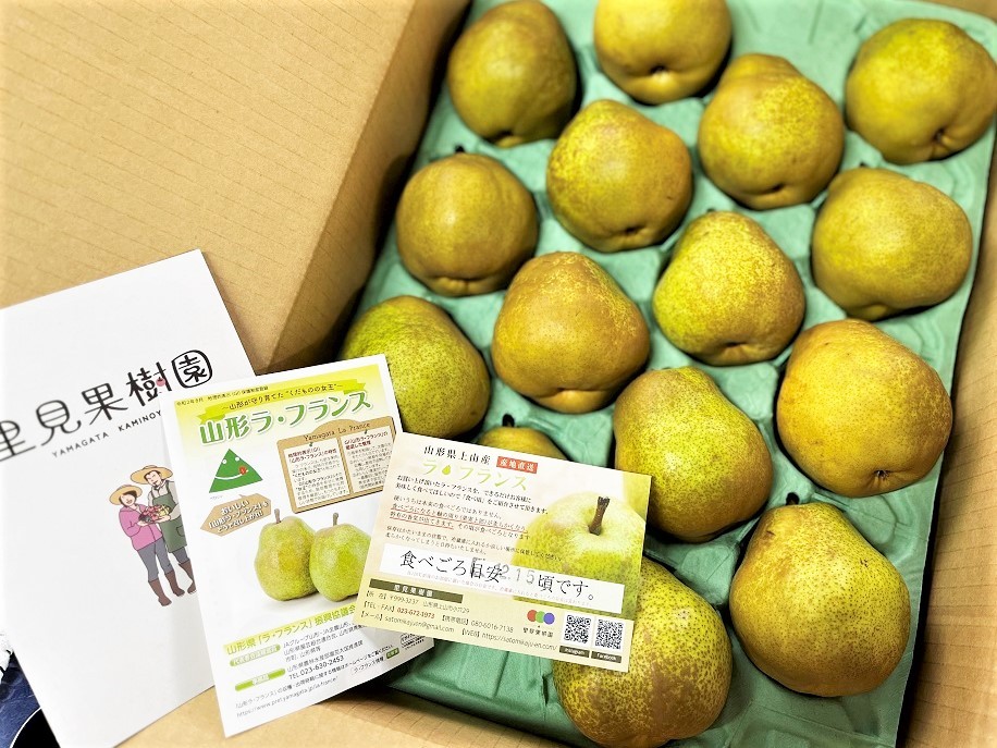 
                  西洋梨（ラ・フランス）５ｋｇ　１０～２０玉　ご家庭用　0079-2617
                