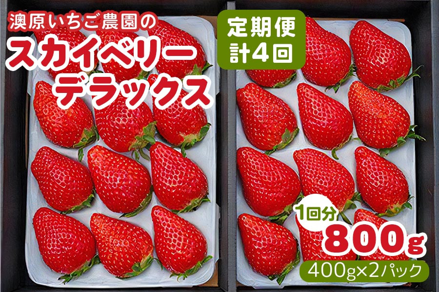 
            [先行予約] [4ヶ月連続定期便] スカイベリーデラックス定期便 (毎月お届け 計4回) 澳原いちご農園 | いちご イチゴ 苺 スカイベリー フルーツ 果物 産地直送 栃木県産 期間限定 数量限定
          