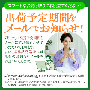 【2024年分先行予約】北海道十勝芽室町 スイートコーンゴールドラッシュ20本 me001-020-24c