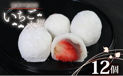 いちご大福 12個 国産 いちご 大福 期間限定 贈答 ギフト プレゼント スイーツ デザート お菓子 お茶菓子 和菓子 洋菓子 老舗 送料無料 徳島県 吉野川市