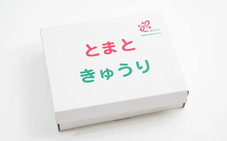 トマト きゅうりセット 合計約2kg | ﾄﾏﾄ きゅうり ﾄﾏﾄ きゅうり ﾄﾏﾄ きゅうり ﾄﾏﾄ きゅうり ﾄﾏﾄ きゅうり 桜国屋 埼玉県 北本市