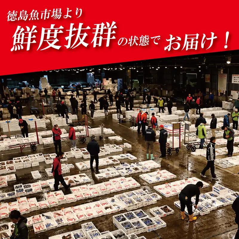 うなぎ 蒲焼 国産 小サイズ 2尾 《 冷蔵発送 解凍手間なし！》 鰻