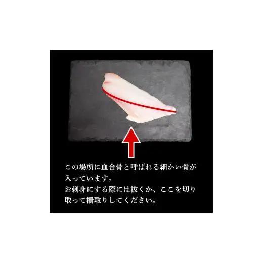【スピード配送】 天然 鮮魚 詰め合わせ 朝獲れ直送 下処理済み 2~3種入り 500g以上 冷凍 刺身 魚種お任せ 水揚げ 海鮮 魚介 産地直送 新鮮 魚 鮮魚ボックス