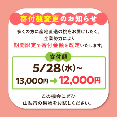【寄付金額変更 13,000円→12,000円】訳あり 桃3kg以上【配送不可地域：離島】
