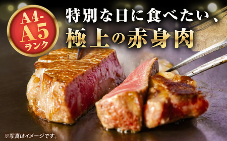 【A4～A5ランク】長崎和牛 極上 ヒレステーキ 300g（150g×2枚）《壱岐市》【野中精肉店】 黒毛和牛 牛肉 和牛 赤身 希少部位 22000円 22000[JGC001]