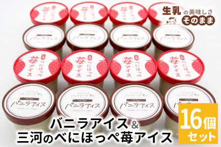〈即日発送〉バニラアイス＆紅ほっぺいちごアイス 16個入り バニラアイス アイスクリーム アイス 苺 いちご  