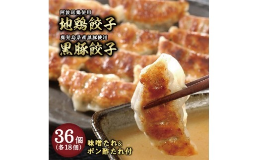 
                  芦屋 伊東屋謹製「黒豚餃子・地鶏餃子」各1折セット (たれ付)【ぎょうざ ギョーザ 中華 点心 惣菜 簡単 おうち おかず おつまみ 鹿児島産 豚肉 国産豚肉 鶏肉 地鶏 もちもち皮 ジューシー 肉汁 冷凍 食べ比べ イトー屋 お取り寄せ ギフト お中元 お歳暮
                