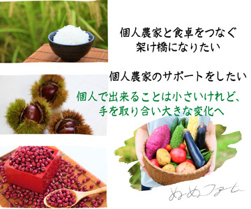 丹波栗 3L以上 2kg 〈丹波市産〉 大粒栗 果物