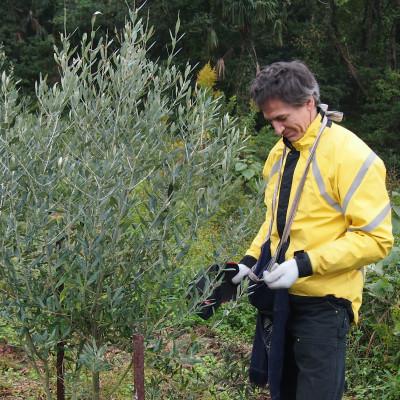 ふるさと納税 小豆島町 ジェイさんのオリーブオイル　エキストラバージン【ミッション種】2025年収穫　105g |  | 02