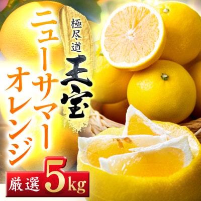 【愛媛名産】玉宝ニューサマーオレンジ　5kg【C64−38】【1510842】