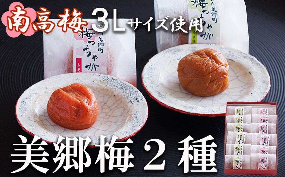 南高梅 梅干し 美郷梅 一粒入り うま味昆布 & シソ風味 各6粒 3Lサイズ A級品 化粧箱入り [春夏秋冬いっつもや 宮崎県 美郷町 31ab0101] 国産 セット 詰め合わせ 宮崎県産 美郷産 常温 送料無料 贈答品 父の日 母の日 プレゼント ギフト