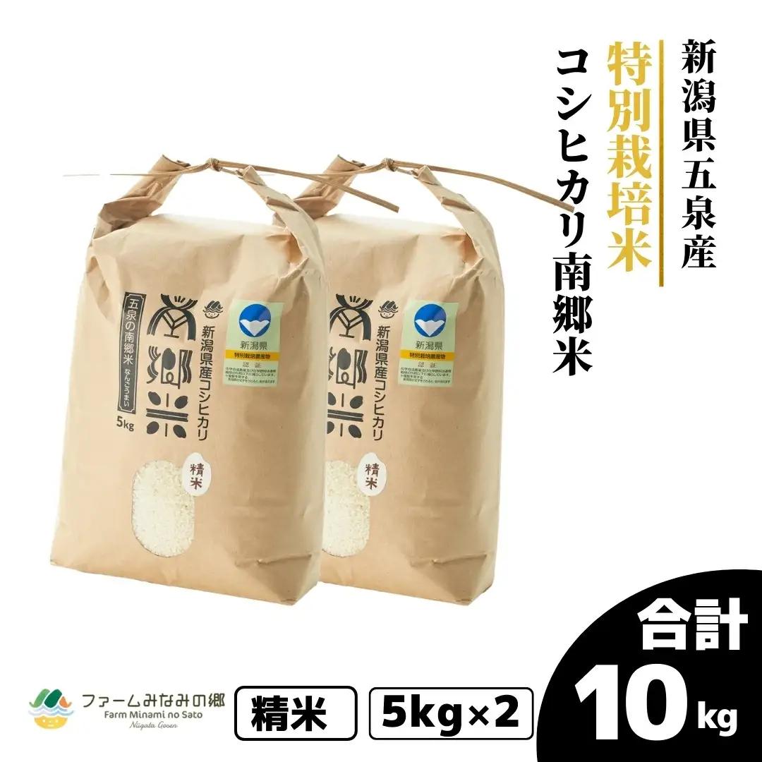 【先行予約】令和8年産 新米 コシヒカリ 10kg(5kg×2袋) 南郷米 こしひかり | 新潟県 五泉市 コシヒカリ
