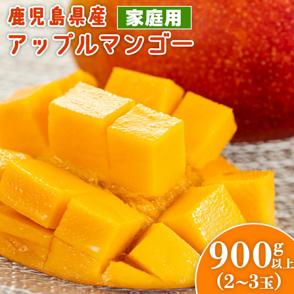 【ふるさと納税】老舗青果店のご家庭用 アップルマンゴー 2～3玉 900g 以上 | マンゴー 完熟マンゴー 鹿児島県 大崎町 南国 人気 フルーツ 果物 くだもの 結いの街