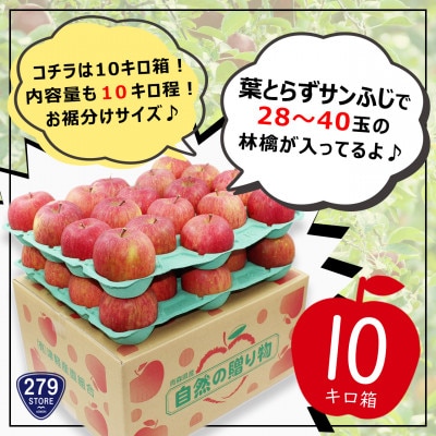 りんご 『葉とらずサンふじ』 蜜入り 10kg 28～40玉 津軽産直組合直送!糖度光センサー選果【配送不可地域：離島】