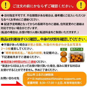 ＜ご家庭用＞ 2月中旬から順次発送 せとか 2.5 kg | 訳あり 蜜柑 高級 果物 甘い フルーツ みかん ミカン オレンジ 柑橘 食べて応援 特産品 愛媛 松山【SU012】