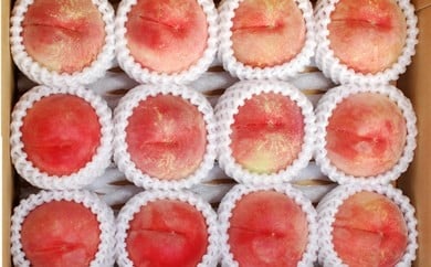 08-02-004　硬い！！もも(美晴白桃)3kg