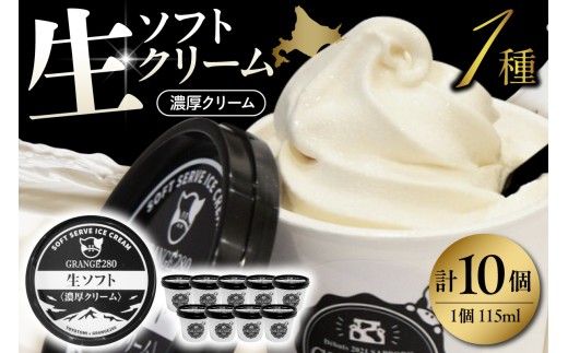 生ソフトクリーム【濃厚クリーム】計10個 tt013-009
