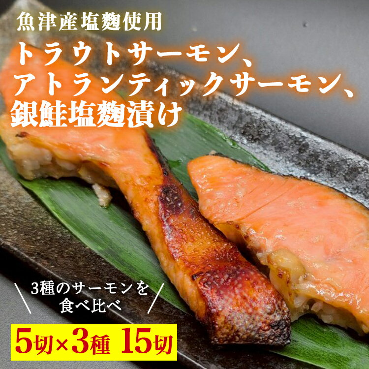 【ふるさと納税】トラウトサーモン、アトランティックサーモン、銀鮭、塩麹漬け各5切ずつセット ※北海道・沖縄・離島への配送不可