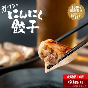餃子 発芽にんにく餃子 国産にんにく 餃子【30個入り×2パック】【定期便6か月】
