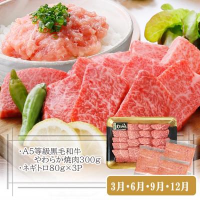 ふるさと納税 枕崎市 定期便【3回配送】枕崎お楽しみ便(A5黒毛和牛・豚ロース・黒豚ハンバーグ・かつお丼)LL-6037 |  | 03